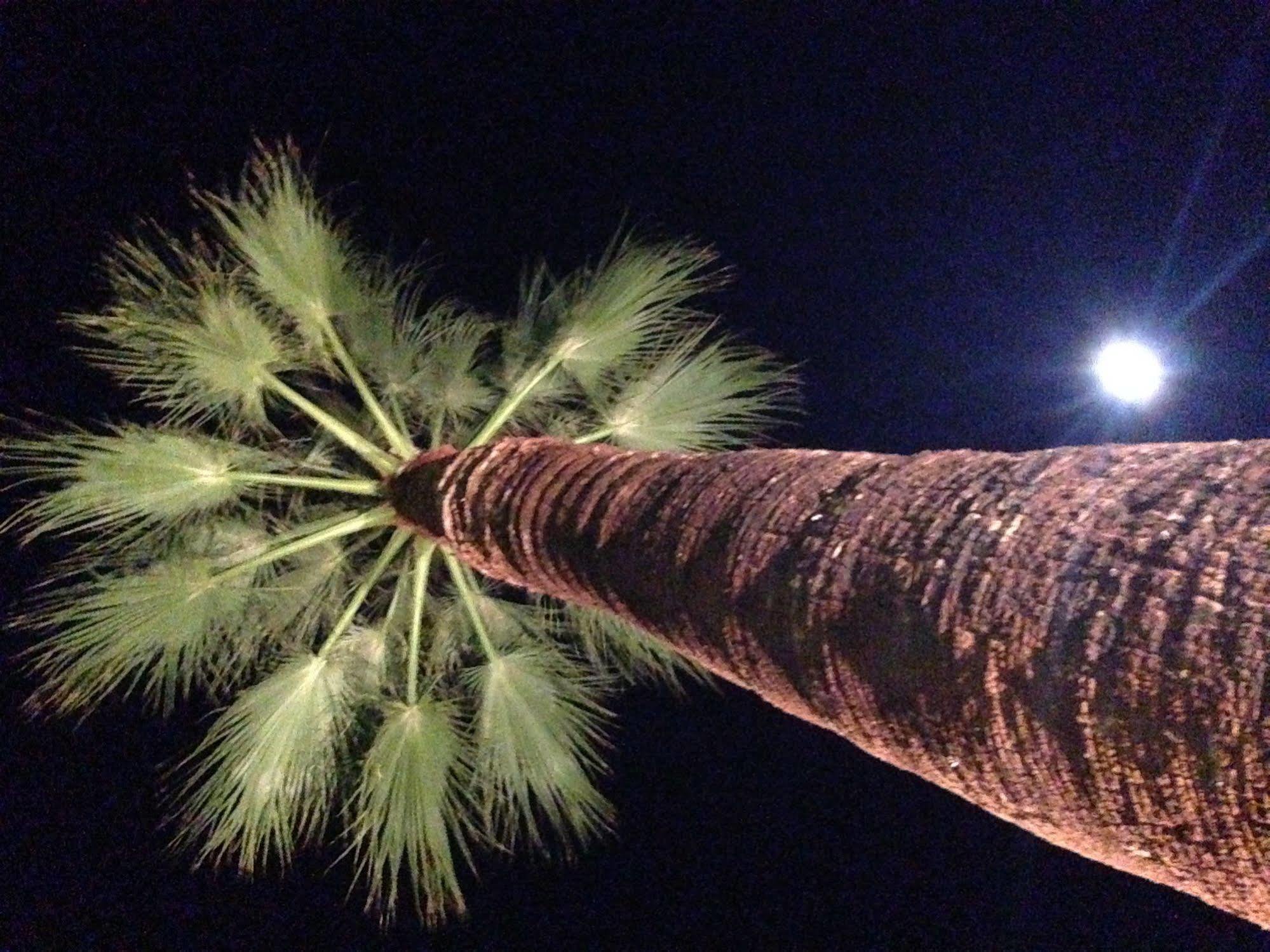 Beverly Laurel Motel 3*